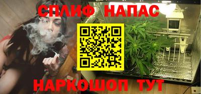гидра Рузаевка