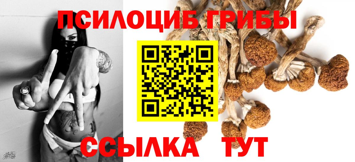 Сальск  магазин продажи   Вход с VPN  Псилоцибиновые грибы ЛСД  Псилоцибиновые грибы MAGIC MUSHROOMS 
